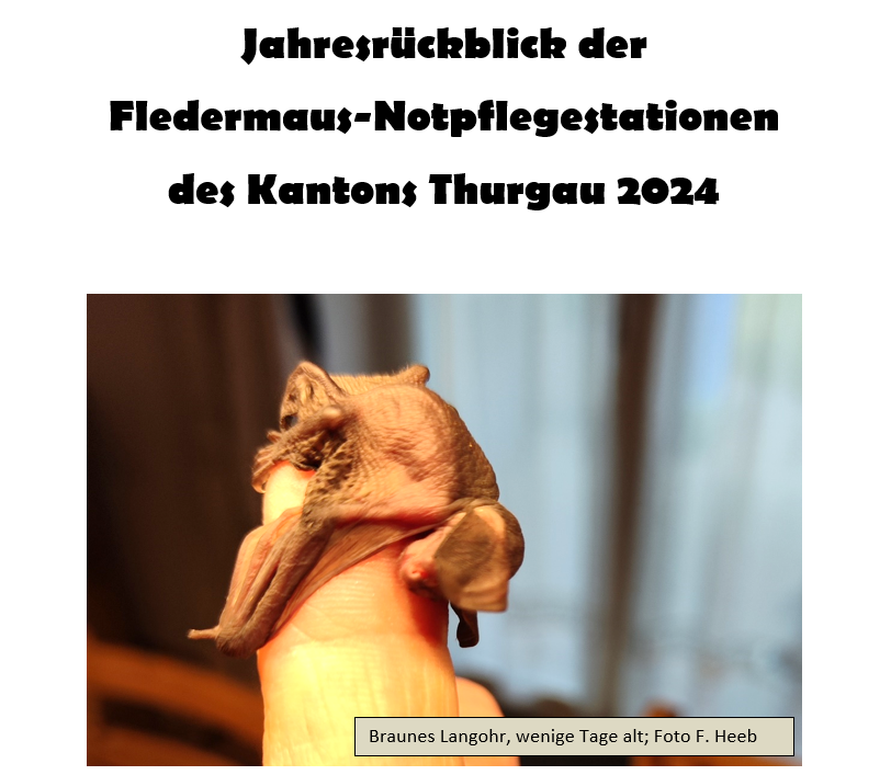Notpflege 2025 Bild